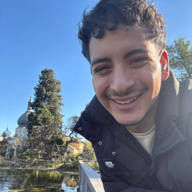 Babysitter in Santiago: BRAD MIMBELA MENA