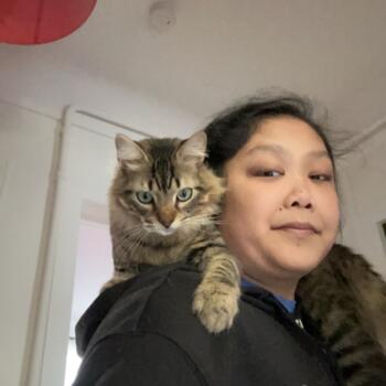 Babysitter in Charenton-le-Pont: Krista