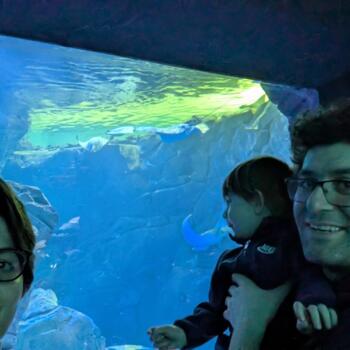 Parent Toronto: Nayer