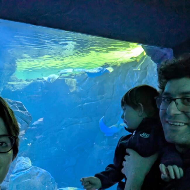 Babysitting job in Toronto: Nayer