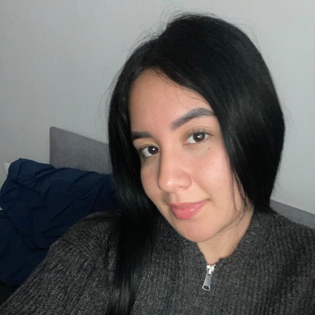 Niñera en Santiago de Chile: Lizeth