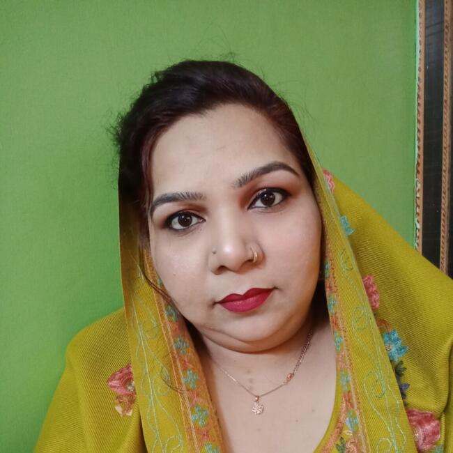 नई दिल्ली में बेबीसिटर: Chanda