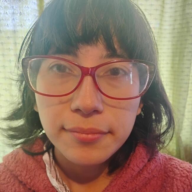 Babysitter in Santiago: Sofía