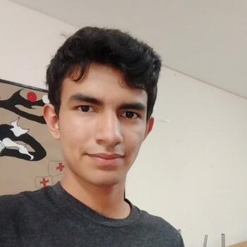 Babysitter in Torreón: Mario I.