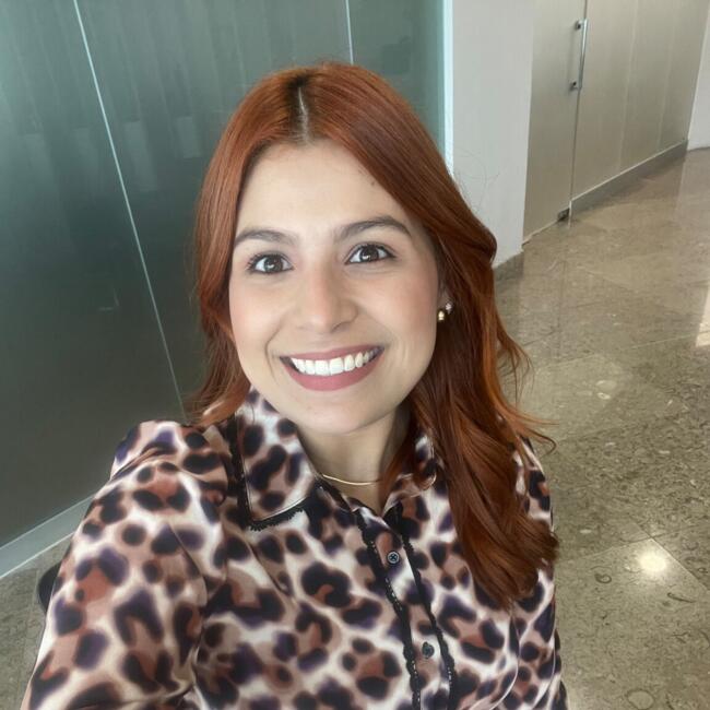 Babysitting job in Santiago: Leslye