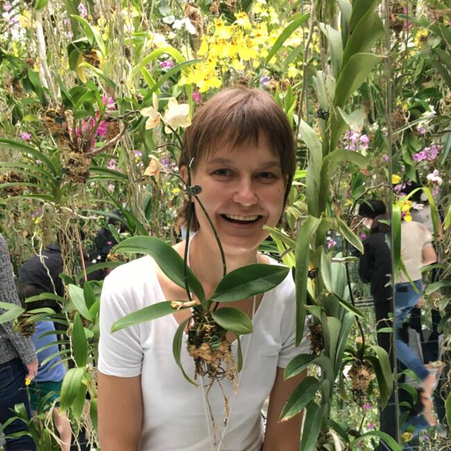 Auklės darbas Vilnius: Justė