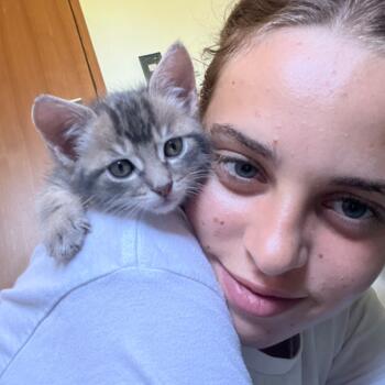 Babysitter Hamburg: Delphine