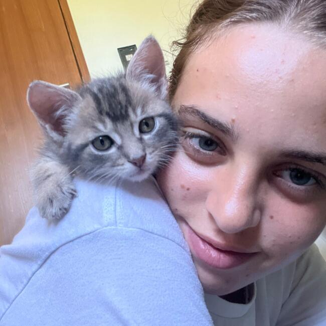 Babysitter in Hamburg: Delphine