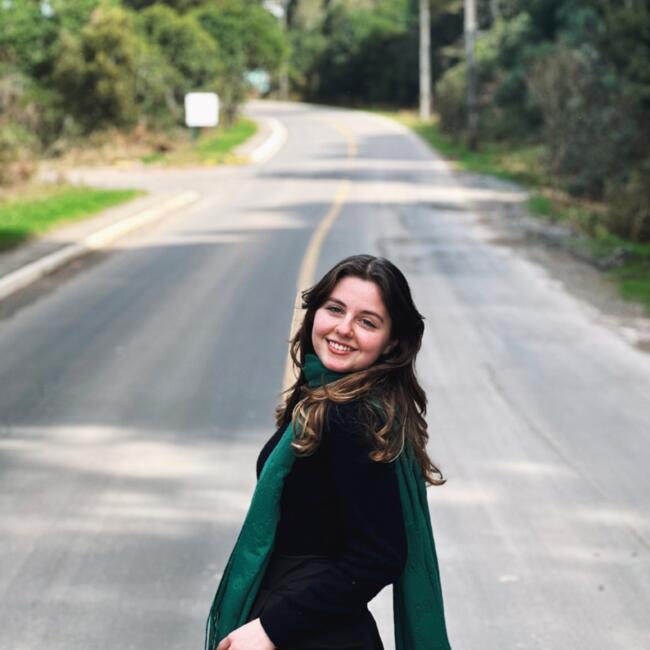 Babysitter in Farroupilha: Jamyle