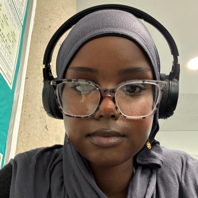 Babysitter in Birmingham: Bushra