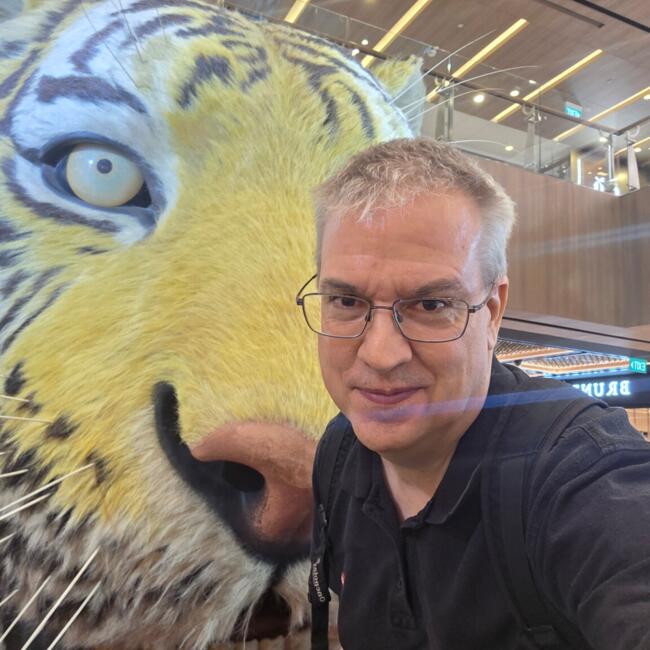 新加坡的临时保姆工作: Daniel