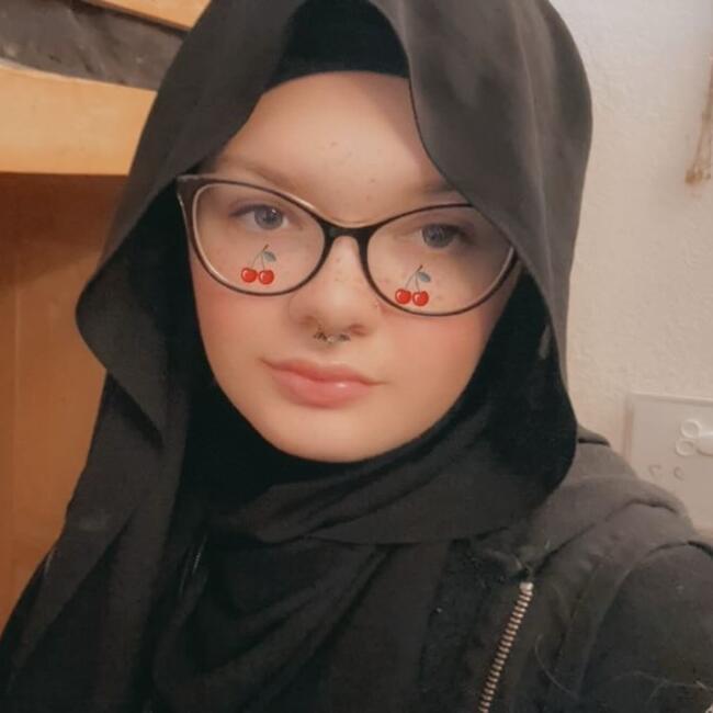 Babysitter in Everett (Washington): Robin