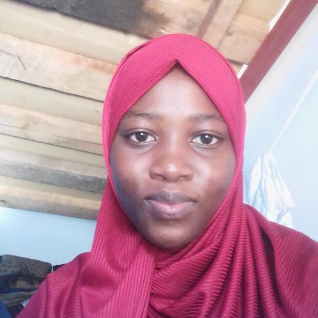 Babysitting job in Mwanza: Amina