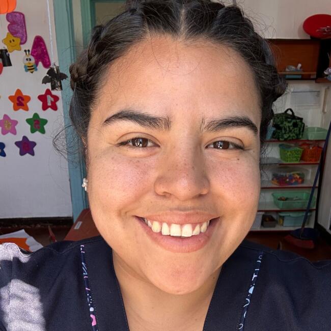 Babysitter in Coquimbo: Aracely