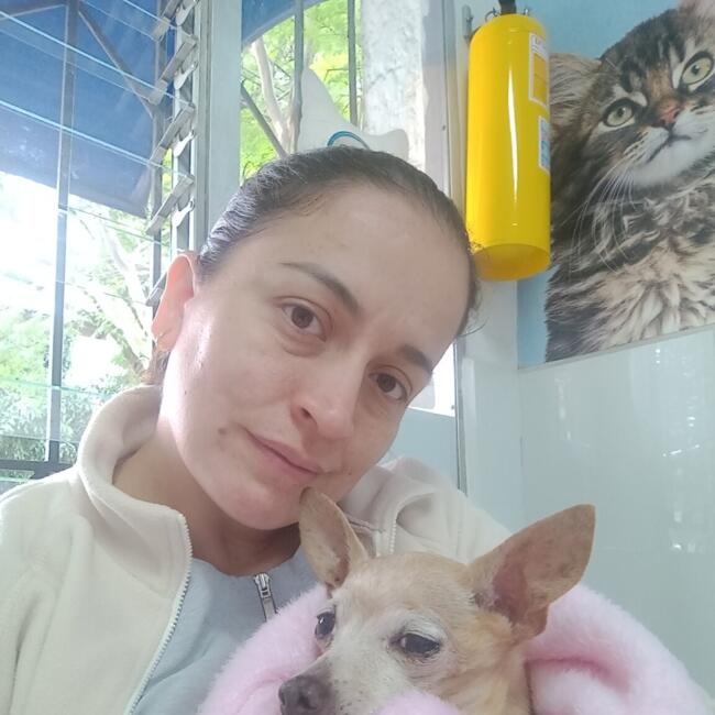 Trabajo para niñera en Medellín: Yuly Marcela