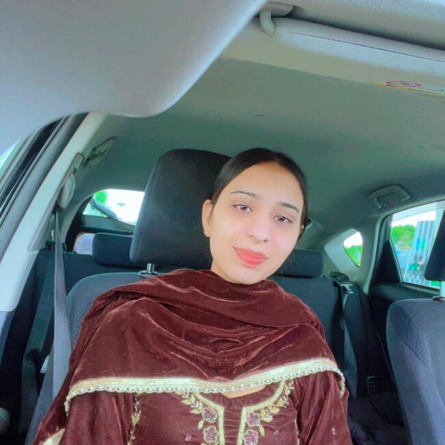Babysitter in Auckland: Ekamjot