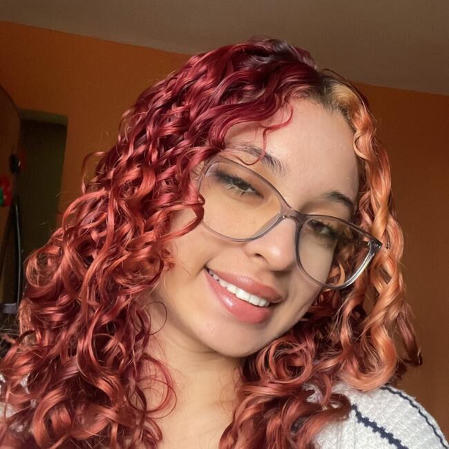 Niñera en Santo Domingo (Distrito de Santo Domingo): Arielis