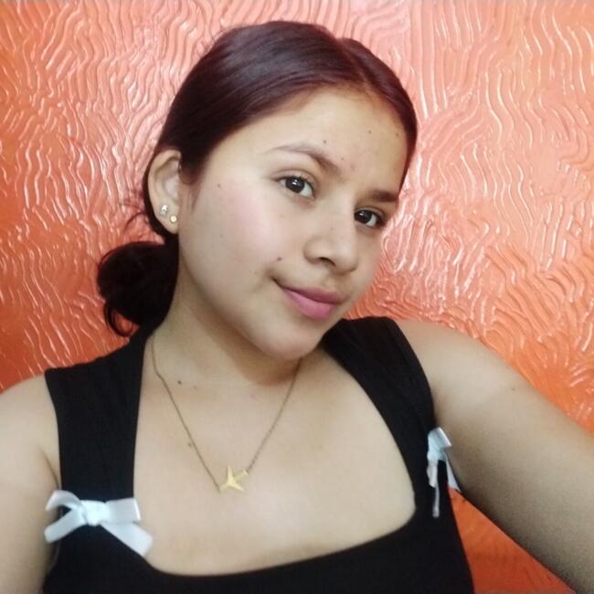 Babysitter in La Victoria (Provincia de Chiclayo): Ingrid Mirely
