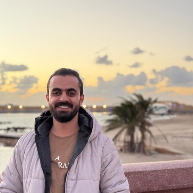 Babysitting job in Giza: MOHAMMAD