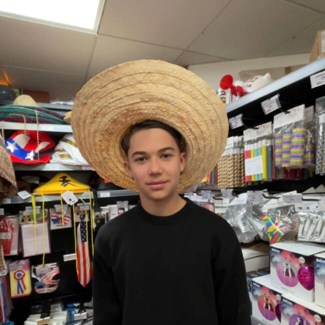 Babysitter in Grenoble: Roman