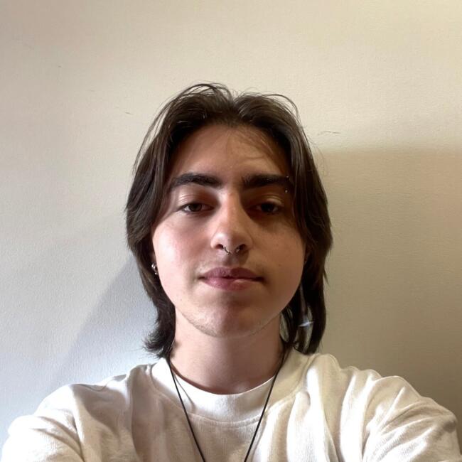 Babysitter in The Hague: Alexandre