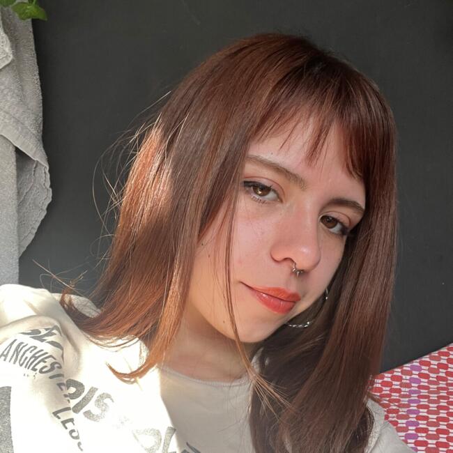 Babysitter in Temuco: Amanda