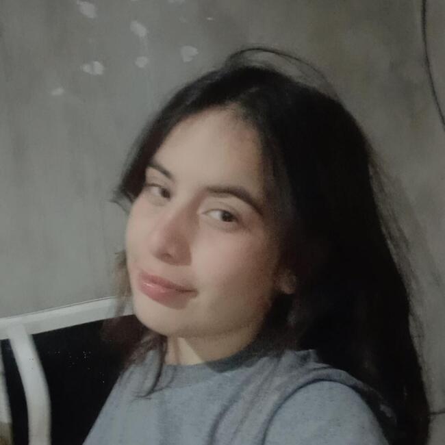 Babysitter in Encarnación: Karen Lopez