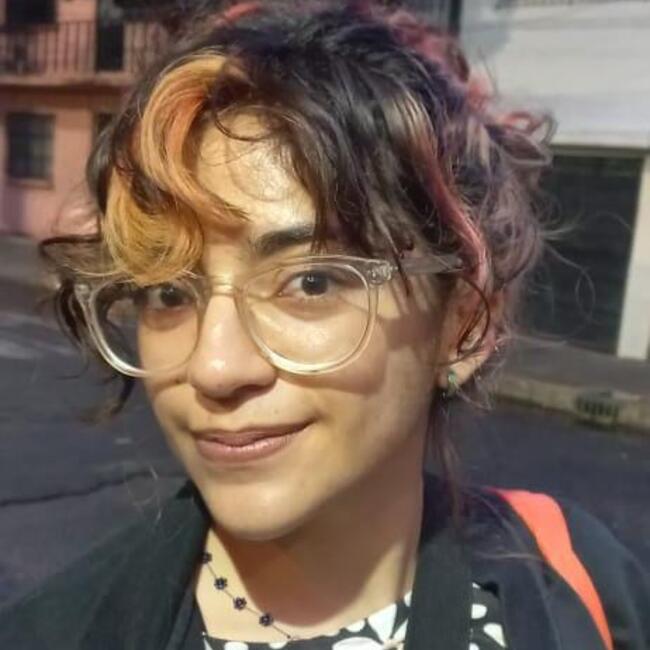 Niñera en Ciudad de México: Luz Yurem