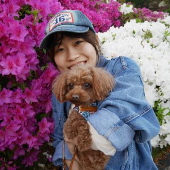 ベビーシッター 福井市: Iwaoka