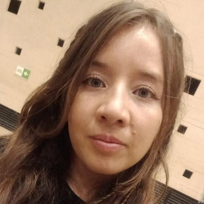 Babysitter in Ripollet: Sol