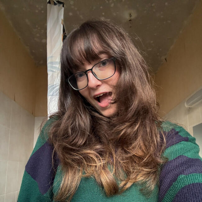 Babysitter in Rennes: Erine