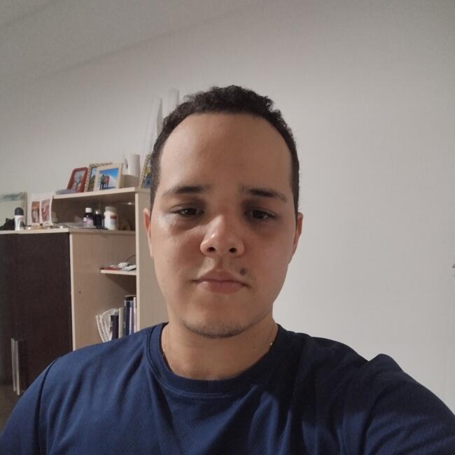 Babysitter in Rosario: Aylton