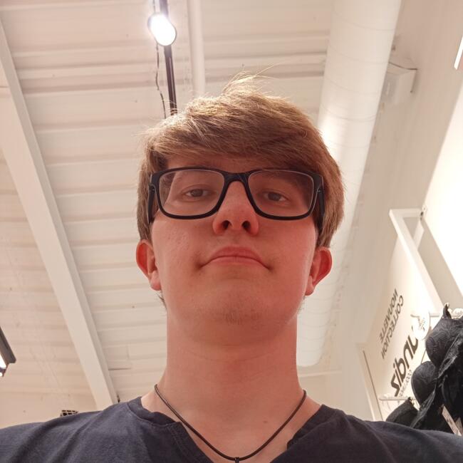 Babysitter in Lamballe: Timothe