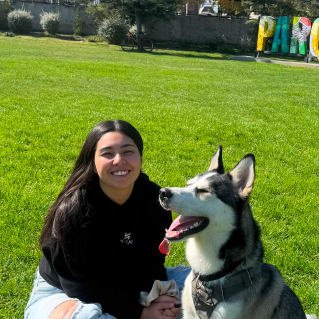 Babysitter in San Bernardo: Catalina Cisterna