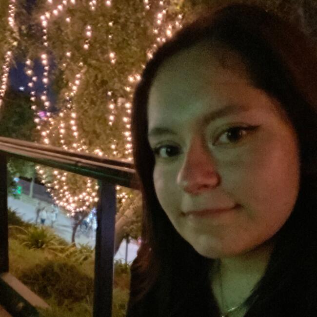 Niñera en Santiago de Chile: Tamara Sanhueza González