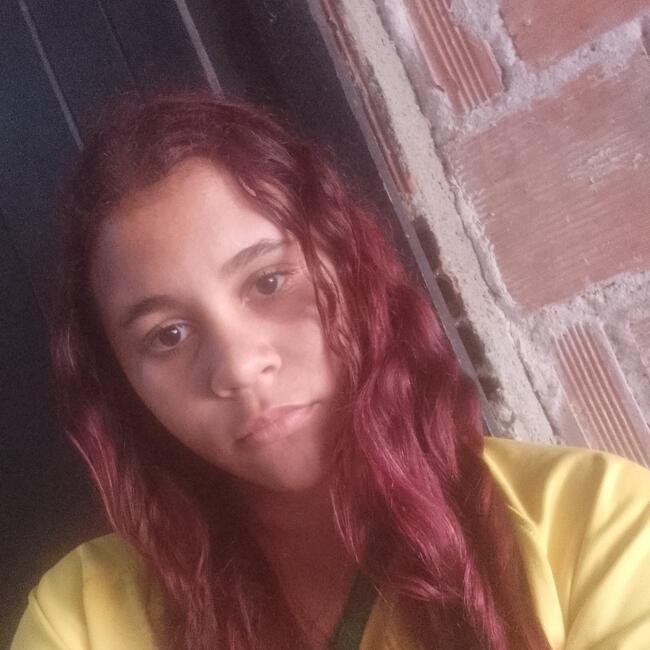 Babysitter in Caucaia: Nathalie