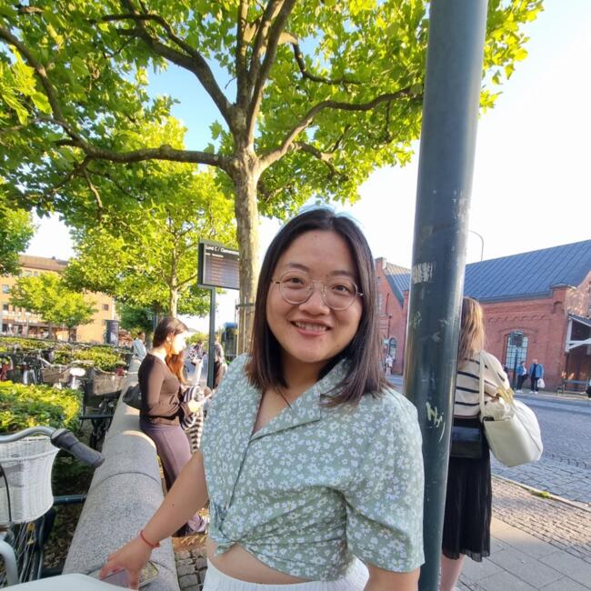 Babysitter in Lund: Ping