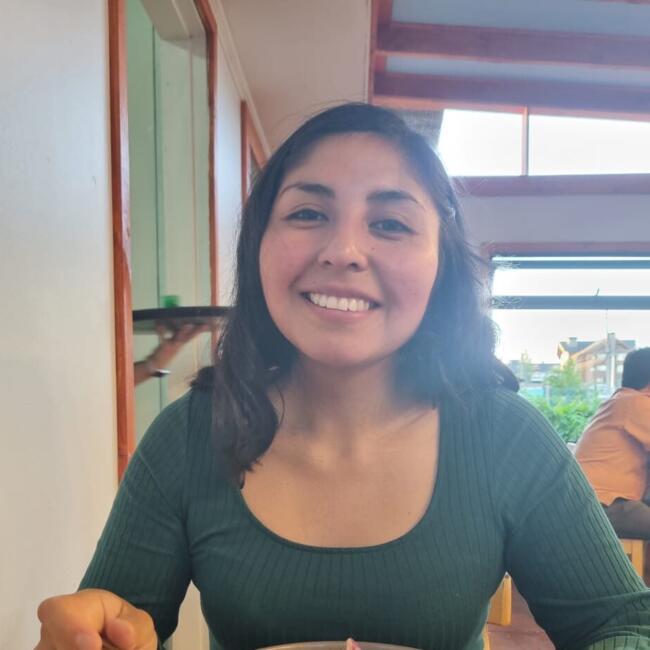 Babysitter in Valdivia: Vanessa