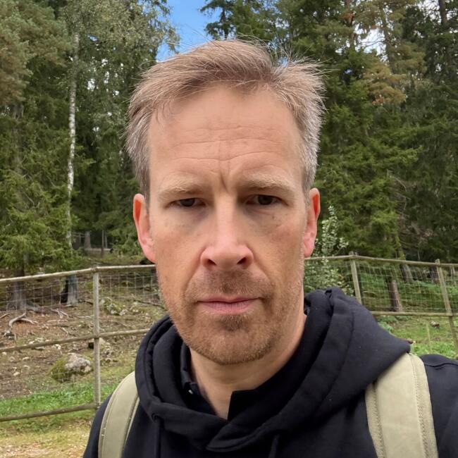 Barnvaktsjobb i Falköping: DAVID