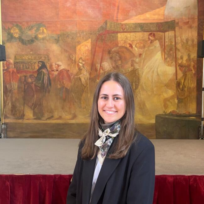 Babysitter in Toulouse: Lucile