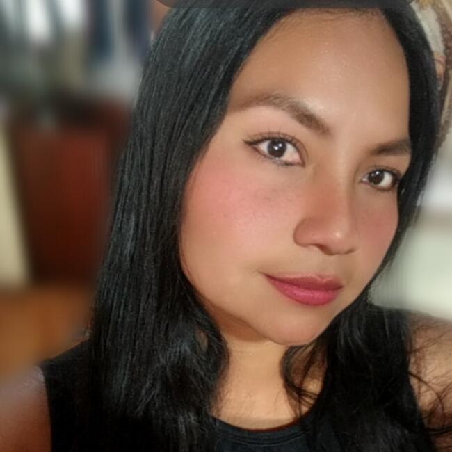 Niñera en Quito: Irma alvarado