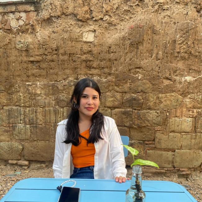 Niñera en Villa de Etla: Beyda Andrea