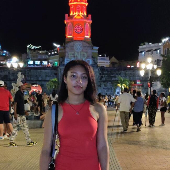 Babysitter in Bogotá: Isabel