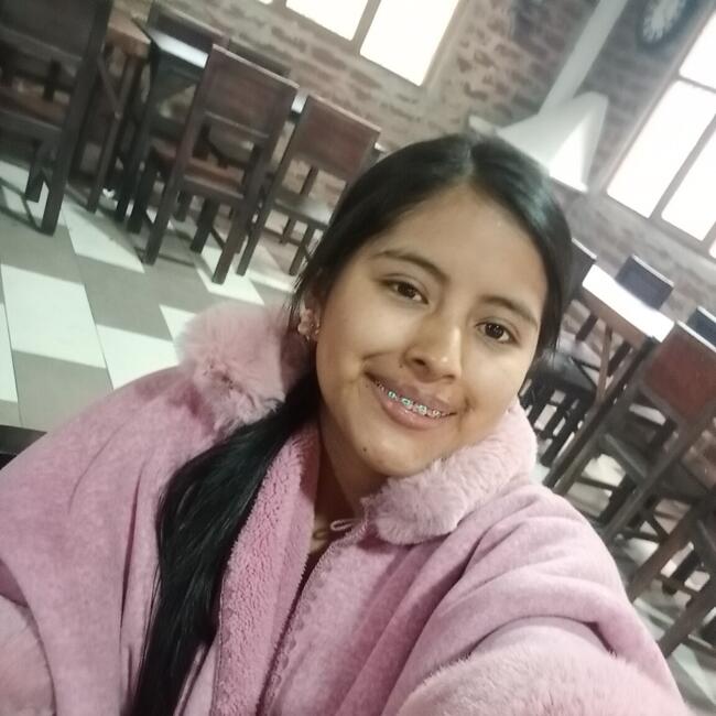 Babysitter in Ambato: Carolina