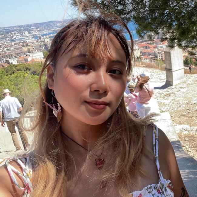 Babysitter in Paris: Challenge