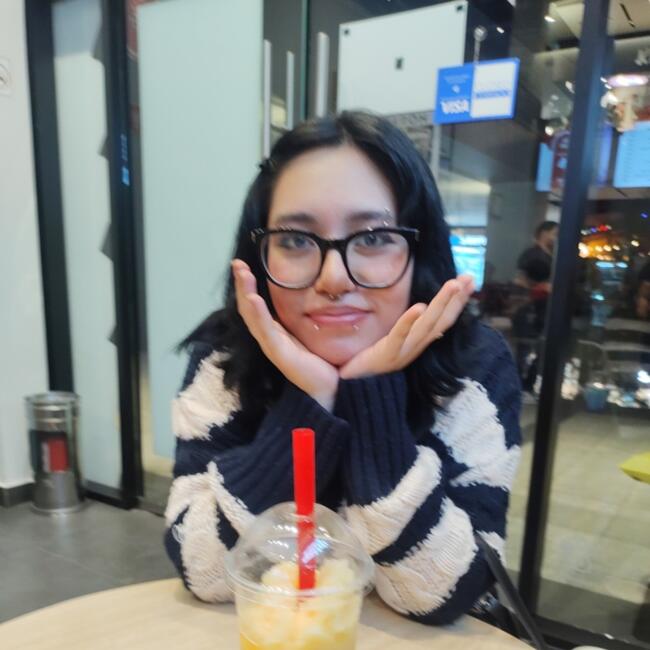 Babysitter in Guadalajara: Alllisson