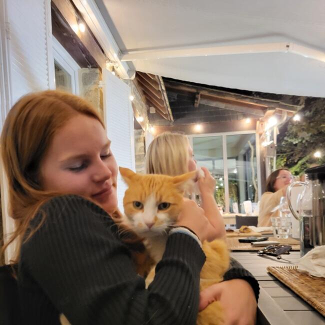 Babysitter in Saint-Ouën-des-Toits: Carmen