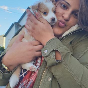 Babysitter Vila Real: Vanessa