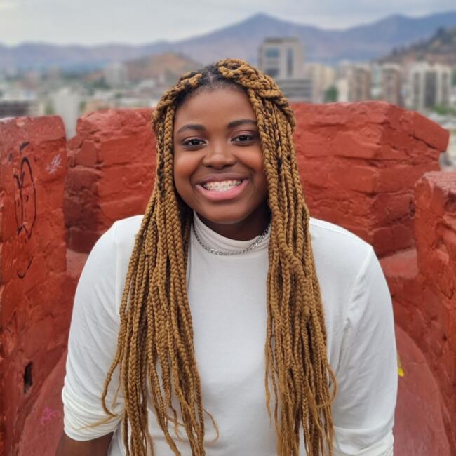 Babá em Rio de Janeiro: Karine