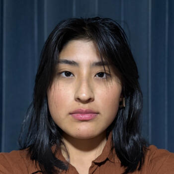 Babysitter Miraflores (Provincia de Arequipa): Rosmery